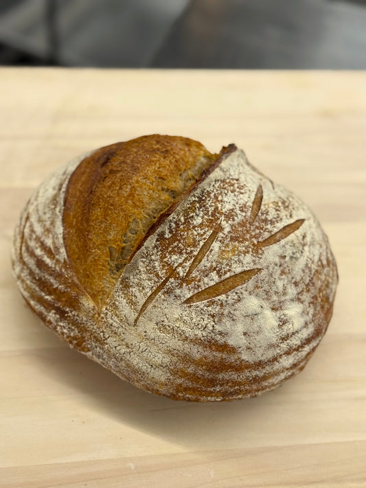 Whole Wheat Sourdough Loaf
