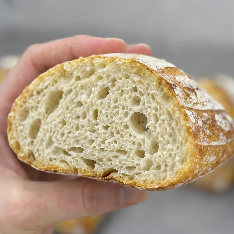 Sourdough Ciabatta Rolls, photo 1