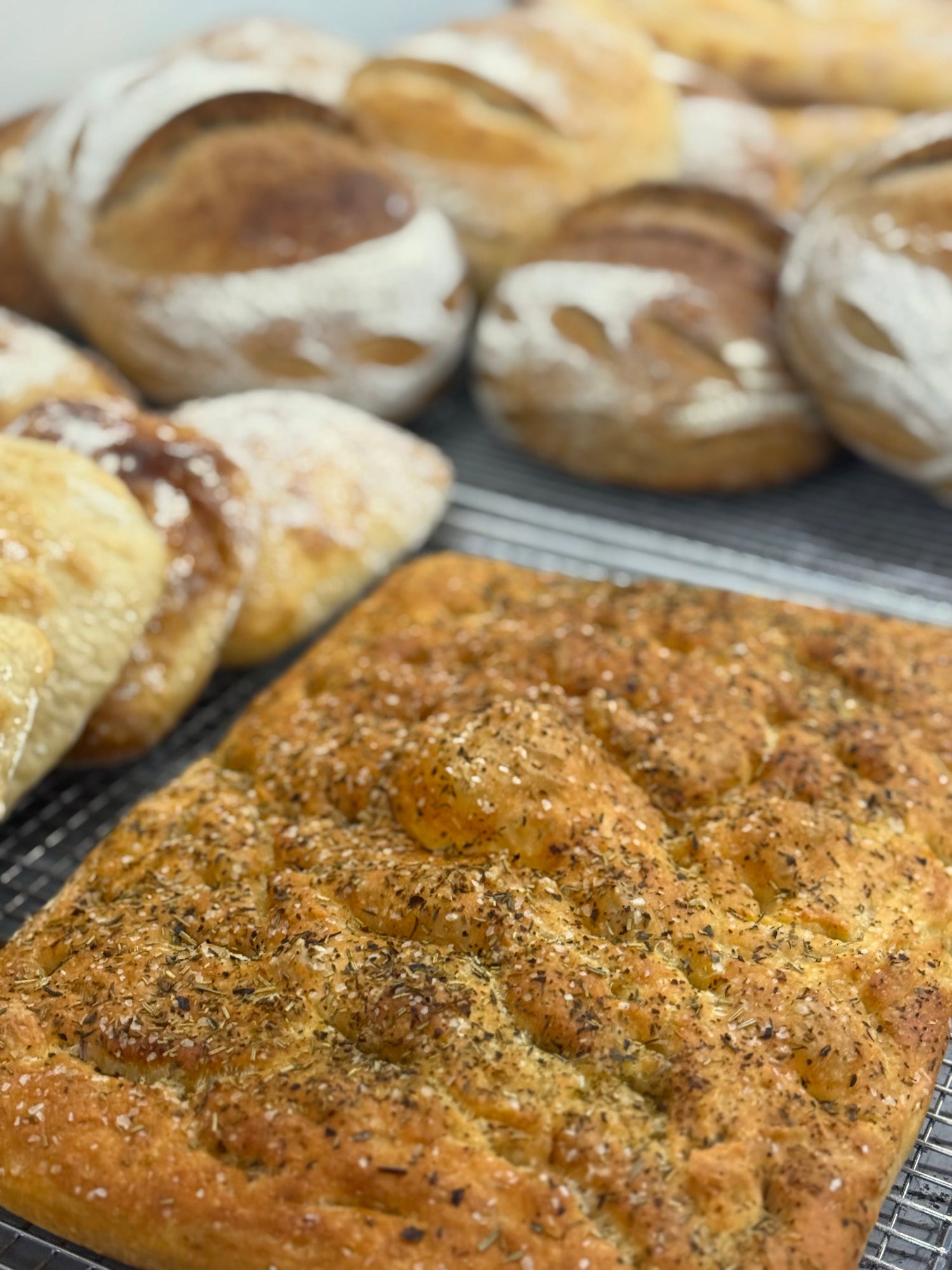 Sourdough Subscriptions