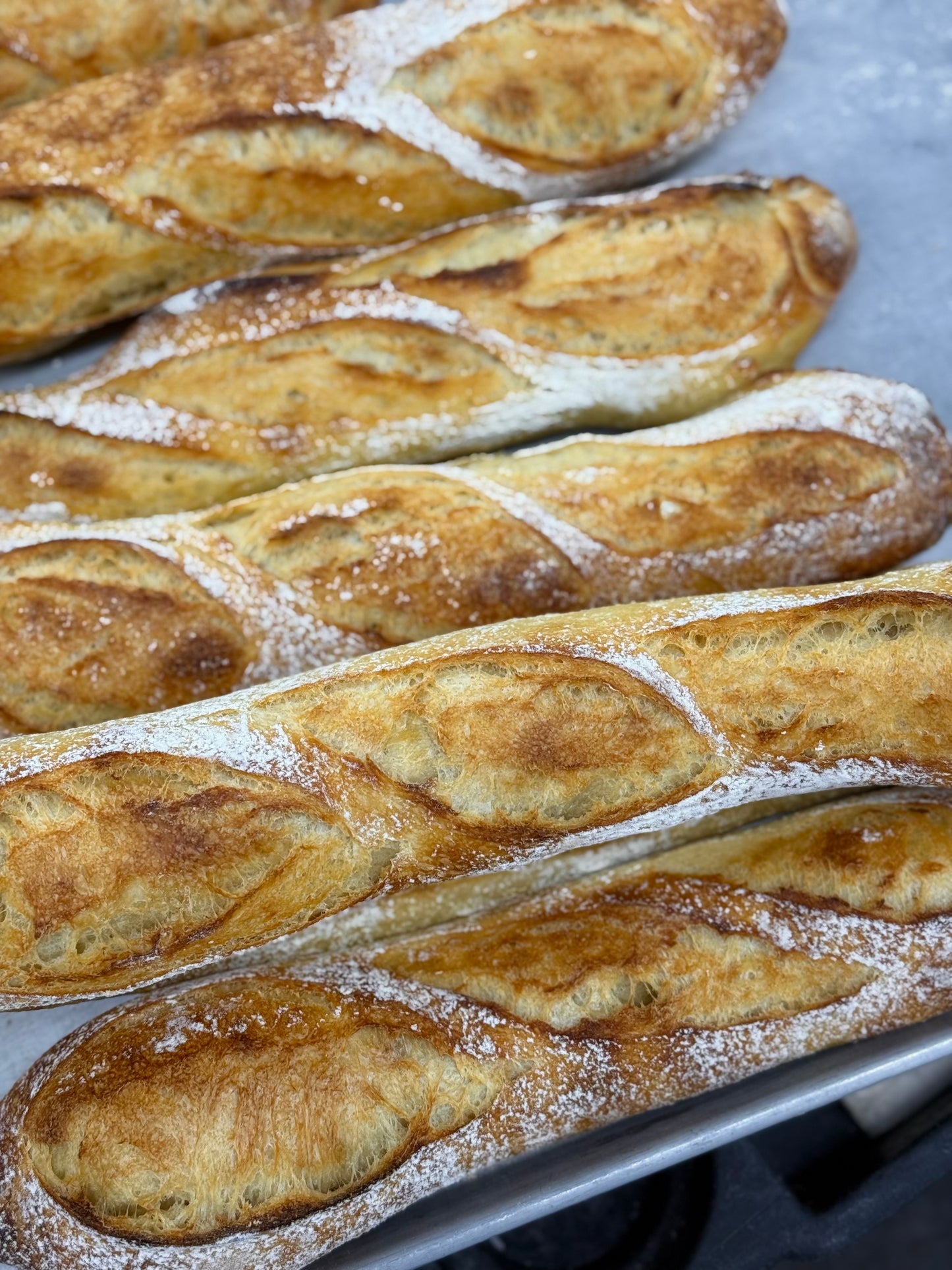 Cobble Hill CSA Sourdough Share