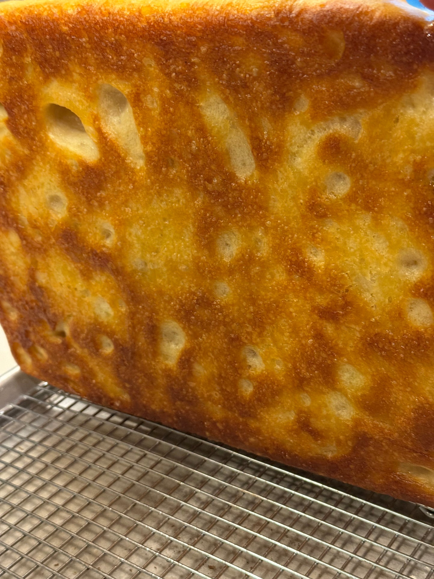 LIMITED EDITION: Green Olive Focaccia