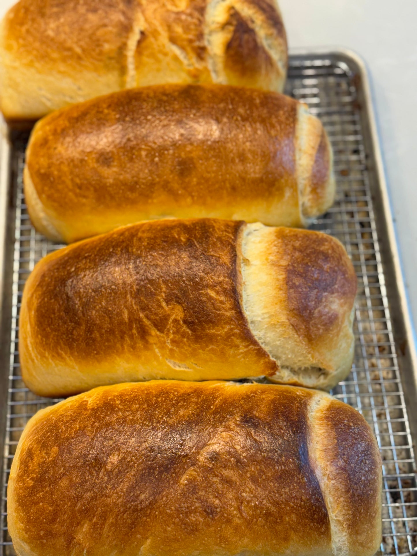 Sandwich Sourdough Loaf