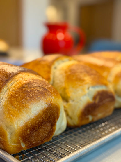 Sandwich Sourdough Loaf