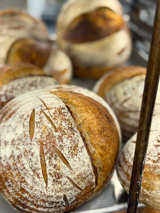 Whole Wheat Sourdough Bread Loaf Subscription