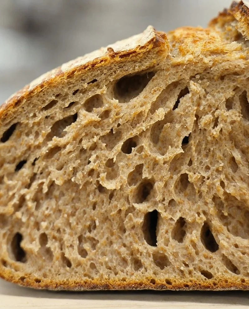 Whole Wheat Sourdough Loaf, photo 3