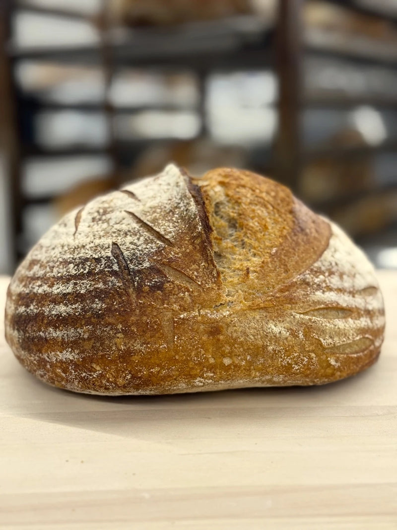 Whole Wheat Sourdough Bread Loaf Subscription