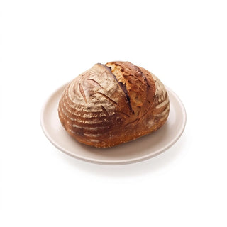 Whole Wheat Sourdough Loaf